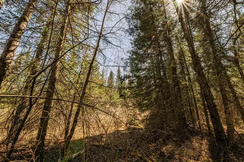 0 Clover Rd S, Winter, WI 54896 photo 7