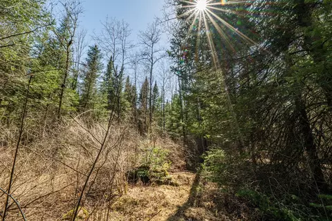 0 Clover Rd S, Winter, WI 54896 photo 8