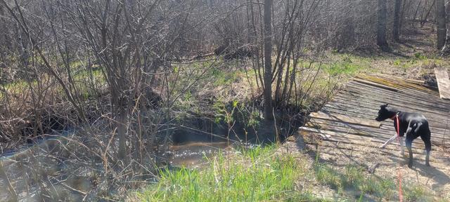 W14103 County P Highway, Taylor, WI 54659
