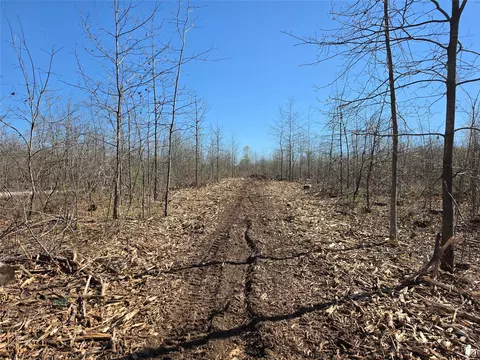 0 County Hwy E #LOT 2, Elk Mound, WI 54739 photo 5