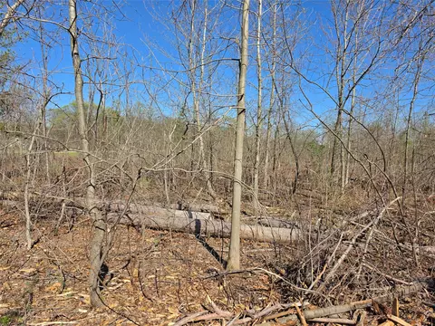 0 County Hwy E #LOT 2, Elk Mound, WI 54739 photo 6