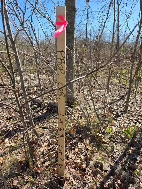 0 County Hwy E #LOT 2, Elk Mound, WI 54739 photo 8