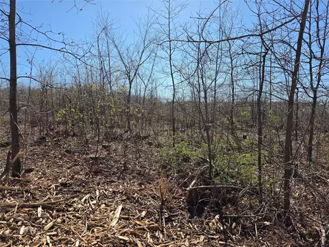 0 County Hwy E #LOT 2, Elk Mound, WI 54739 photo 7