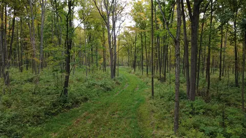 000 Nehrbass Rd, Athens, WI 54411