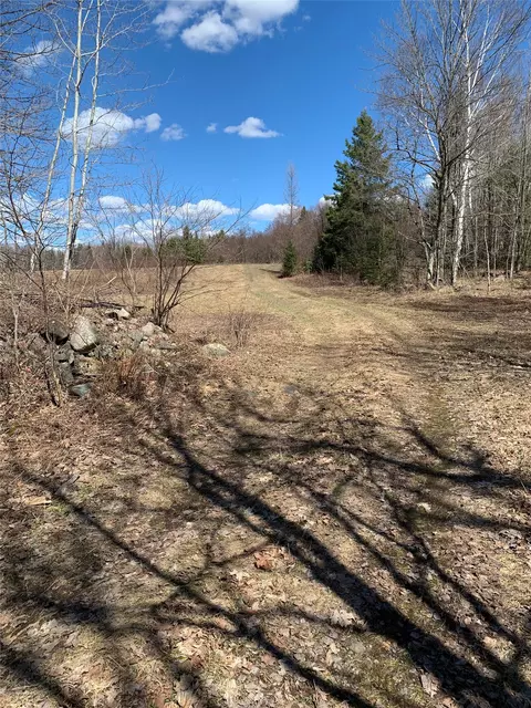 80 Acres Off South Park Rd, Butternut, WI 54514 photo 24