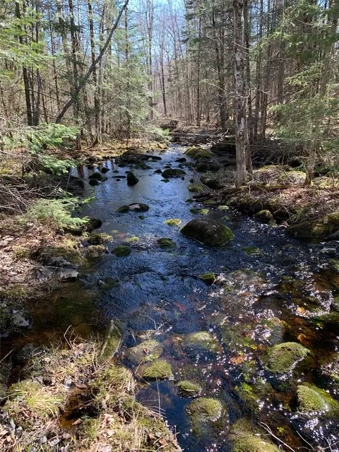 80 Acres Off South Park Rd, Butternut, WI 54514 photo 33
