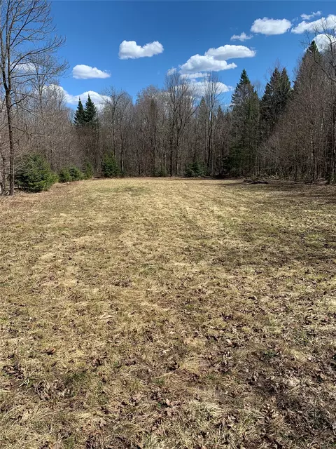 80 Acres Off South Park Rd, Butternut, WI 54514 photo 18