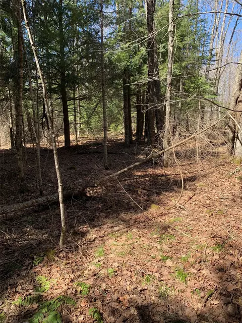 80 Acres Off South Park Rd, Butternut, WI 54514 photo 40