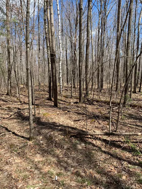 80 Acres Off South Park Rd, Butternut, WI 54514 photo 12