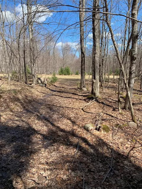 80 Acres Off South Park Rd, Butternut, WI 54514 photo 19