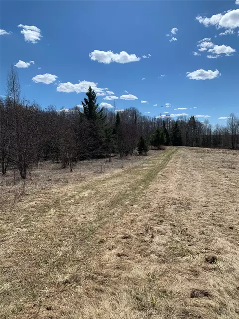 80 Acres Off South Park Rd, Butternut, WI 54514 photo 22