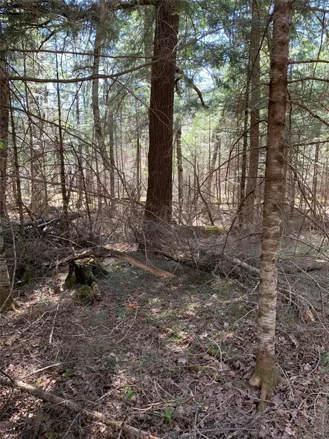 80 Acres Off South Park Rd, Butternut, WI 54514 photo 38
