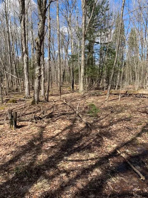 80 Acres Off South Park Rd, Butternut, WI 54514 photo 9