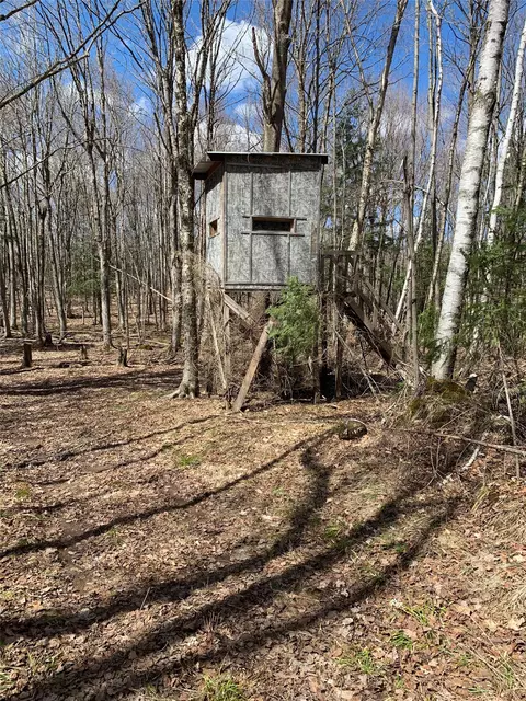 80 Acres Off South Park Rd, Butternut, WI 54514 photo 7