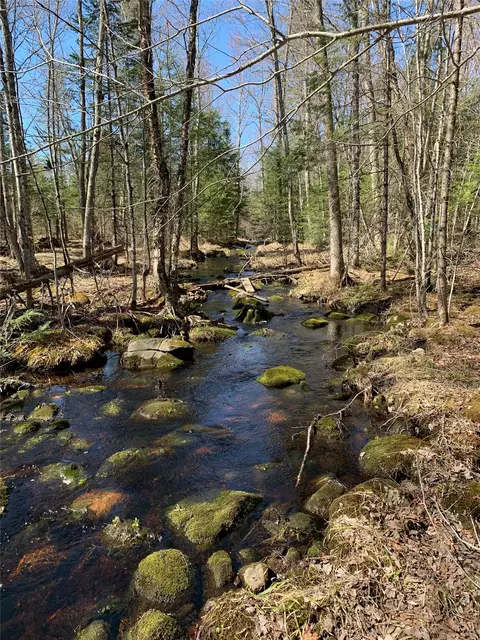 80 Acres Off South Park Rd, Butternut, WI 54514 photo 31