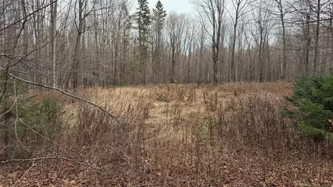 80 Acres Off South Park Rd, Butternut, WI 54514 photo 6