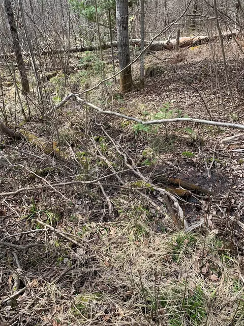 80 Acres Off South Park Rd, Butternut, WI 54514 photo 28