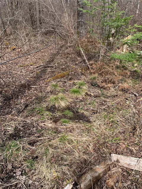 80 Acres Off South Park Rd, Butternut, WI 54514 photo 27