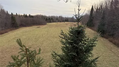 80 Acres Off South Park Rd, Butternut, WI 54514