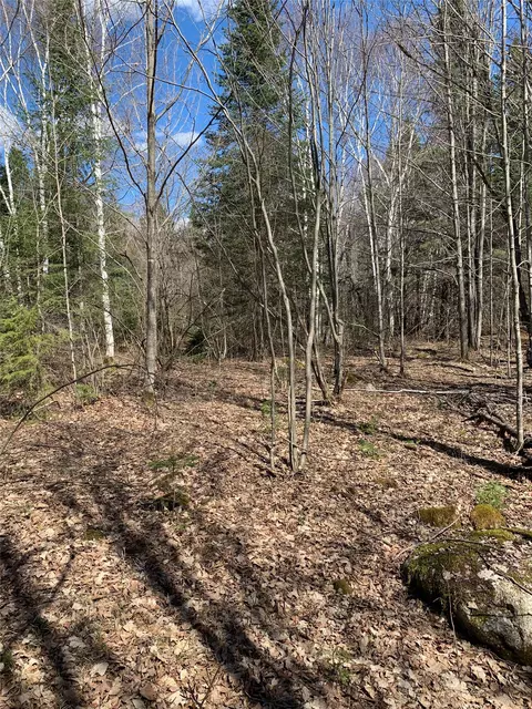 80 Acres Off South Park Rd, Butternut, WI 54514 photo 23