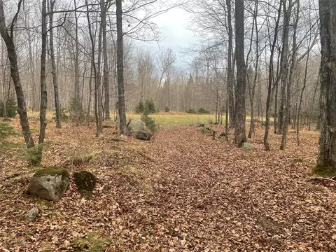 80 Acres Off South Park Rd, Butternut, WI 54514 photo 3