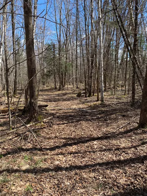 80 Acres Off South Park Rd, Butternut, WI 54514 photo 13