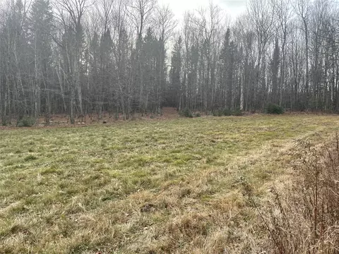 80 Acres Off South Park Rd, Butternut, WI 54514 photo 4