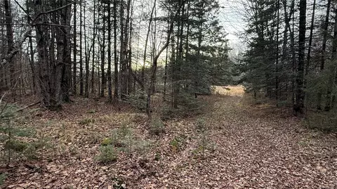 80 Acres Off South Park Rd, Butternut, WI 54514 photo 2