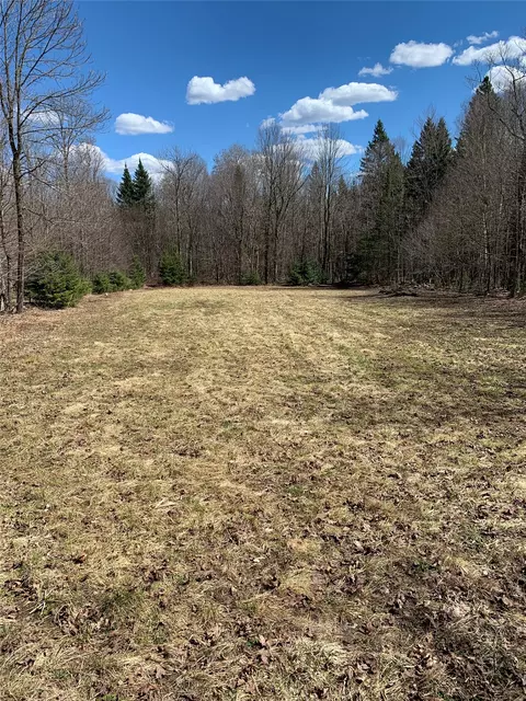 80 Acres Off South Park Rd, Butternut, WI 54514 photo 17