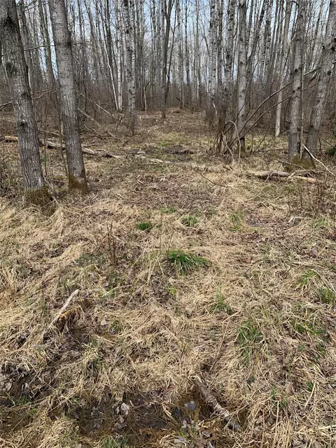 80 Acres Off South Park Rd, Butternut, WI 54514 photo 30