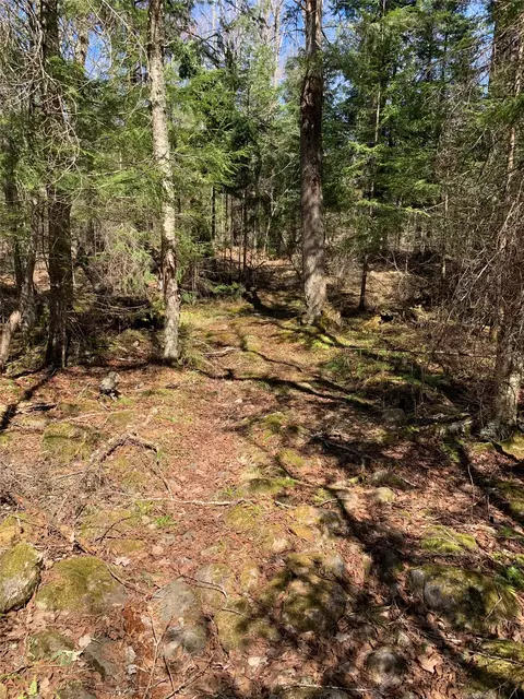 80 Acres Off South Park Rd, Butternut, WI 54514 photo 35