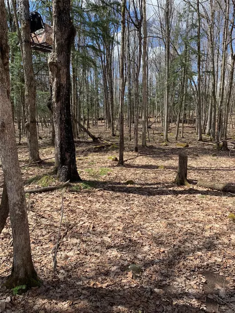 80 Acres Off South Park Rd, Butternut, WI 54514 photo 10
