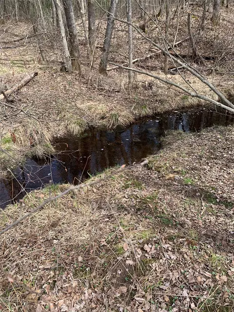 80 Acres Off South Park Rd, Butternut, WI 54514 photo 25