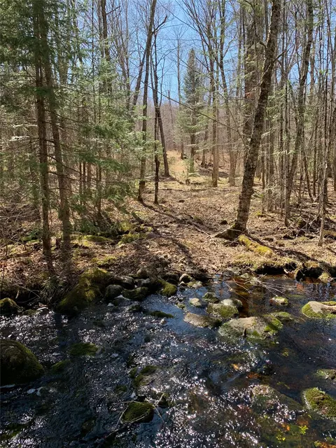 80 Acres Off South Park Rd, Butternut, WI 54514 photo 34