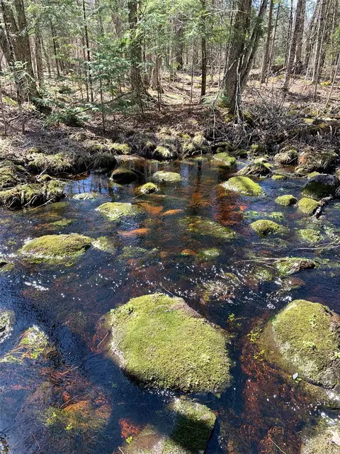 80 Acres Off South Park Rd, Butternut, WI 54514 photo 32