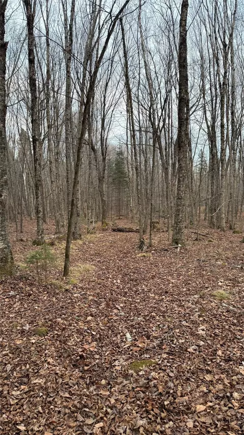 80 Acres Off South Park Rd, Butternut, WI 54514 photo 44