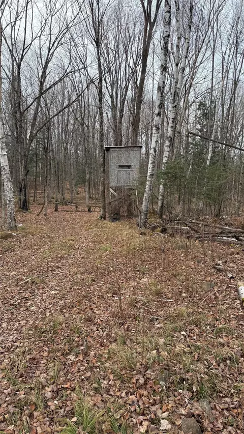 80 Acres Off South Park Rd, Butternut, WI 54514 photo 43