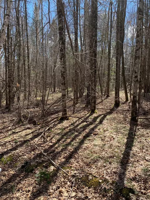 80 Acres Off South Park Rd, Butternut, WI 54514 photo 14