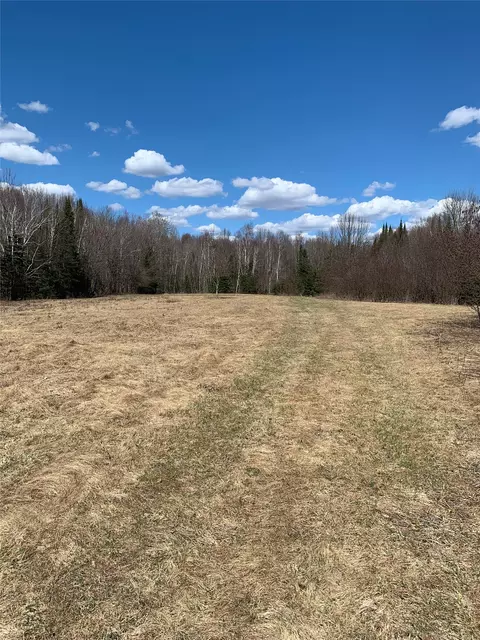 80 Acres Off South Park Rd, Butternut, WI 54514 photo 20