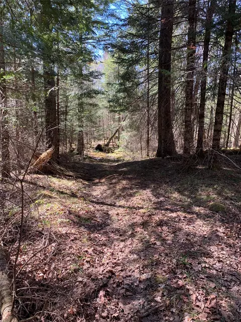 80 Acres Off South Park Rd, Butternut, WI 54514 photo 39