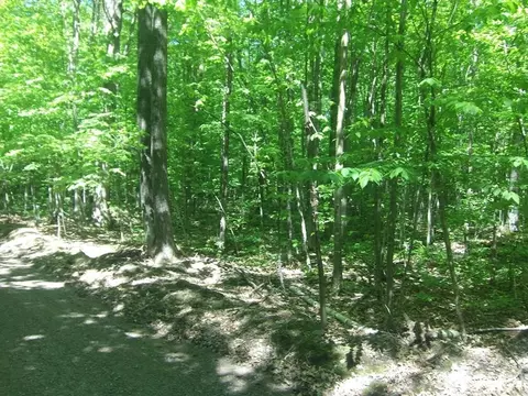 4 85 Acres Joes Rd, Conrath, WI 54731