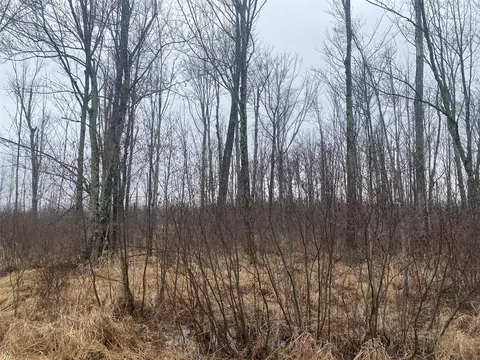 On Shauger Road, Ogema, WI 54459