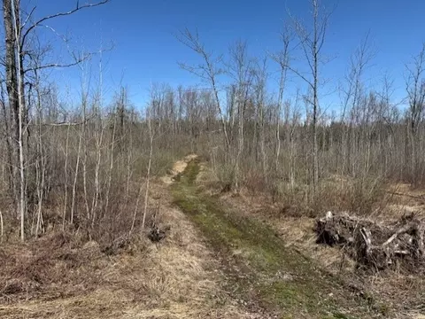 4819 Horse Creek Trl # N, Ojibwa, WI 54862