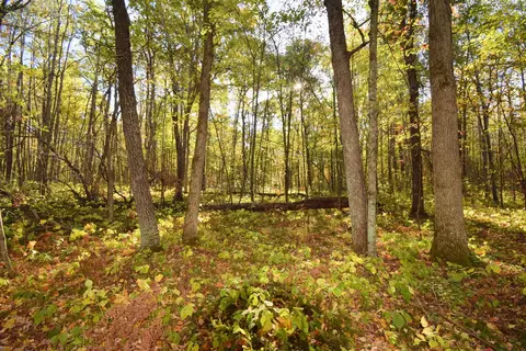 4899 County Road A, Webster, WI 54893 photo 47