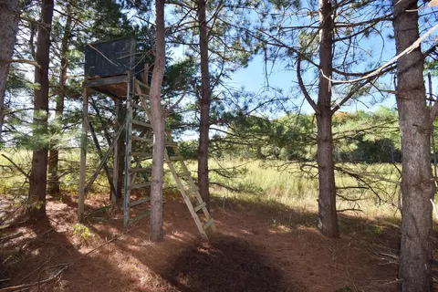 4899 County Road A, Webster, WI 54893 photo 44