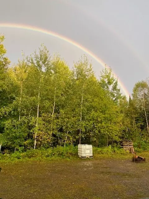 8225 N Blaisdell Lake Rd, Winter, WI 54896