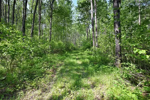 14199 County Highway M, Cable, WI 54821 photo 7