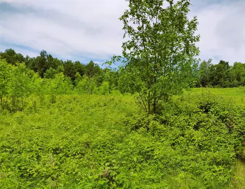 1 35 Acres On Isabella Ln, Sheldon, WI 54766 photo 5