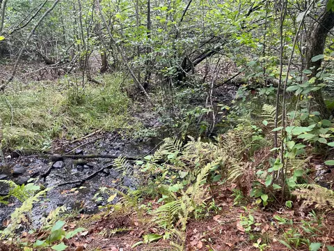 Other - n8644 Lumbard Lane, Springbrook, WI 54875 photo 6 of 6