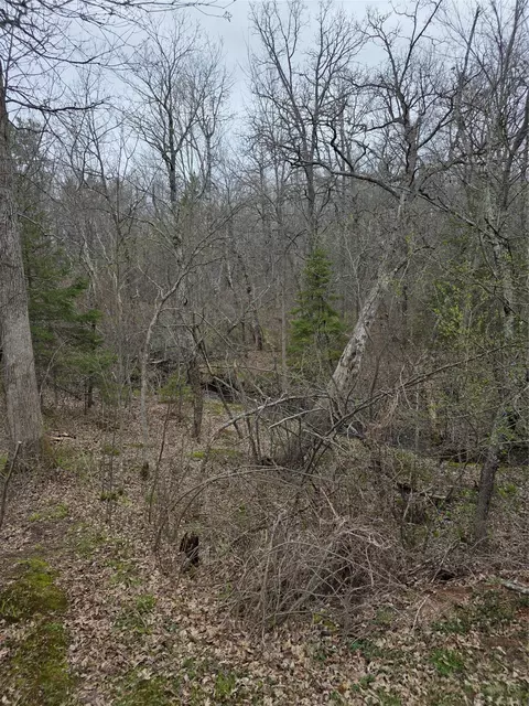 Other - 8644 N Lumbard Ln, Springbrook, WI 54875 photo 10 of 15